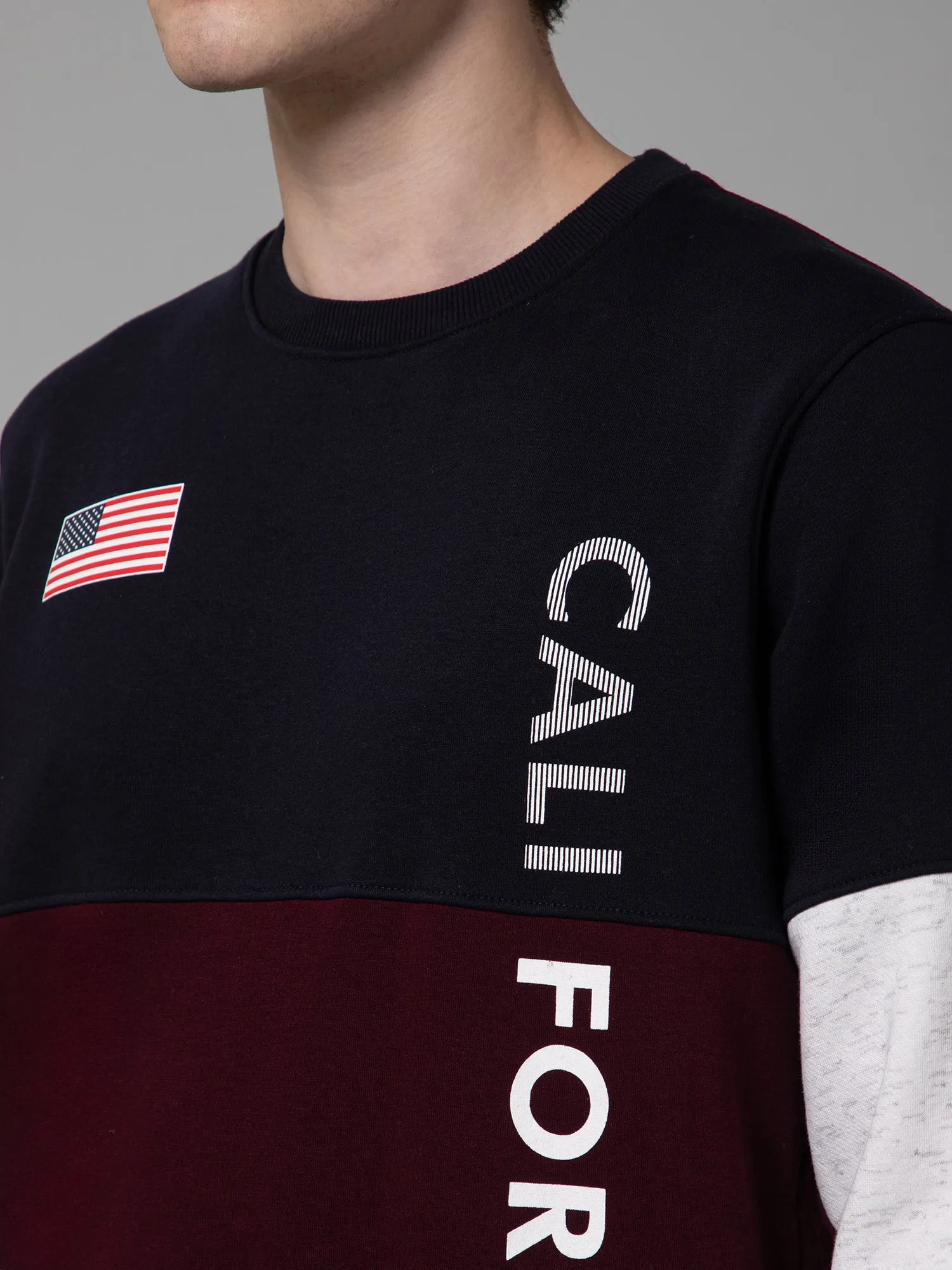 Cantabil Color Blocked Wine Full Sleeves Rounded Neck Regular Fit Casual Sweatshirt for Men