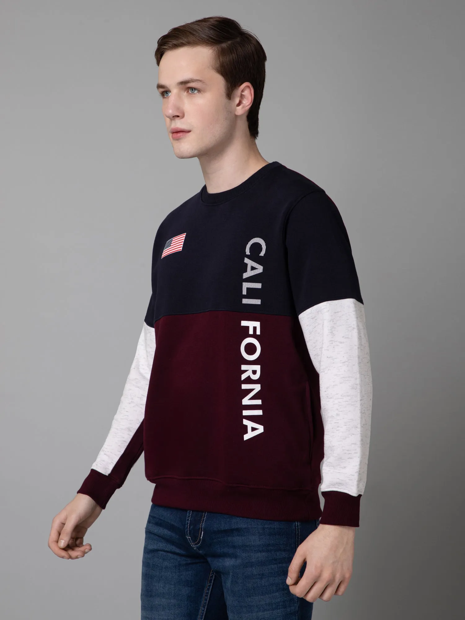 Cantabil Color Blocked Wine Full Sleeves Rounded Neck Regular Fit Casual Sweatshirt for Men