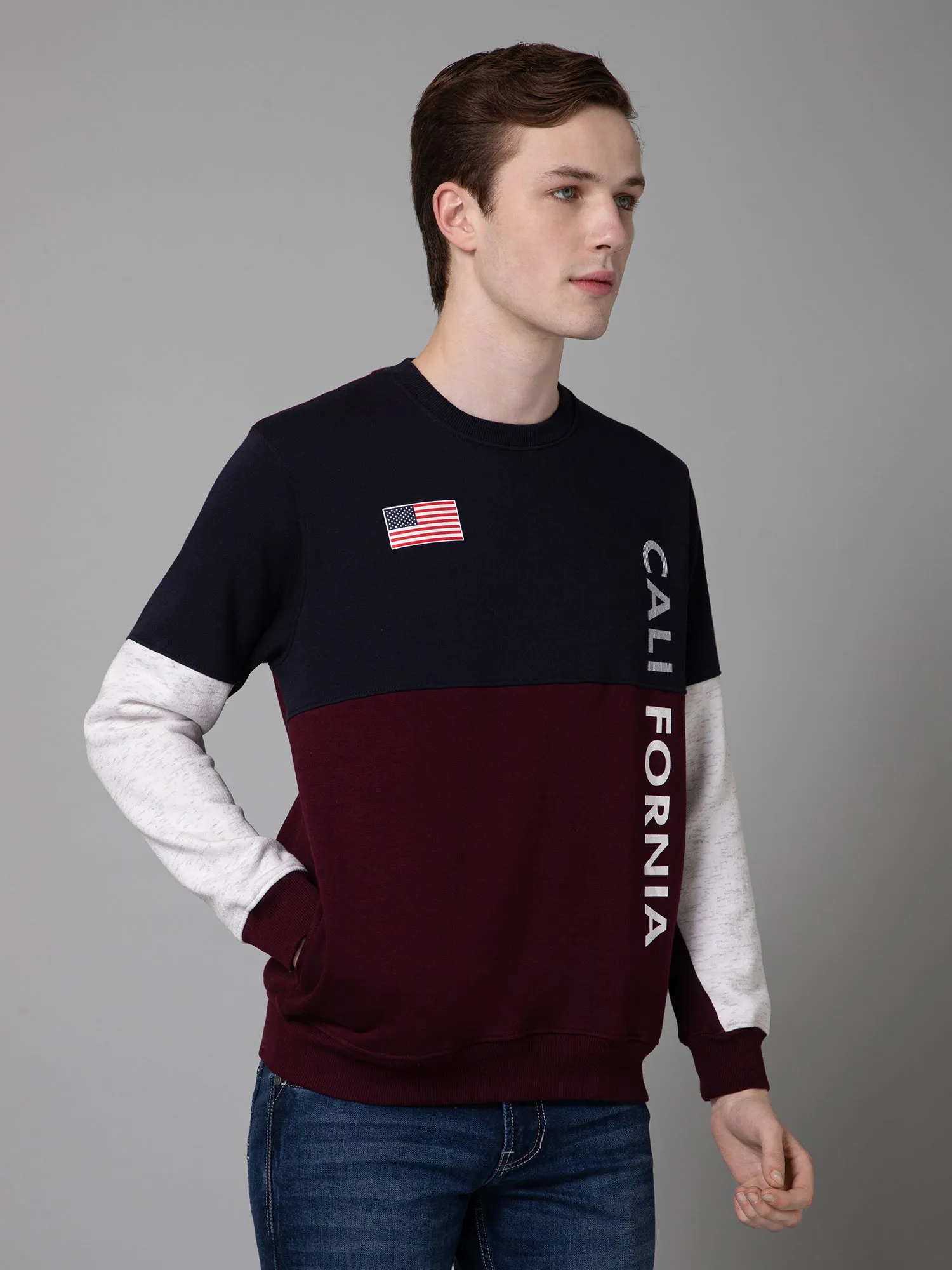 Cantabil Color Blocked Wine Full Sleeves Rounded Neck Regular Fit Casual Sweatshirt for Men