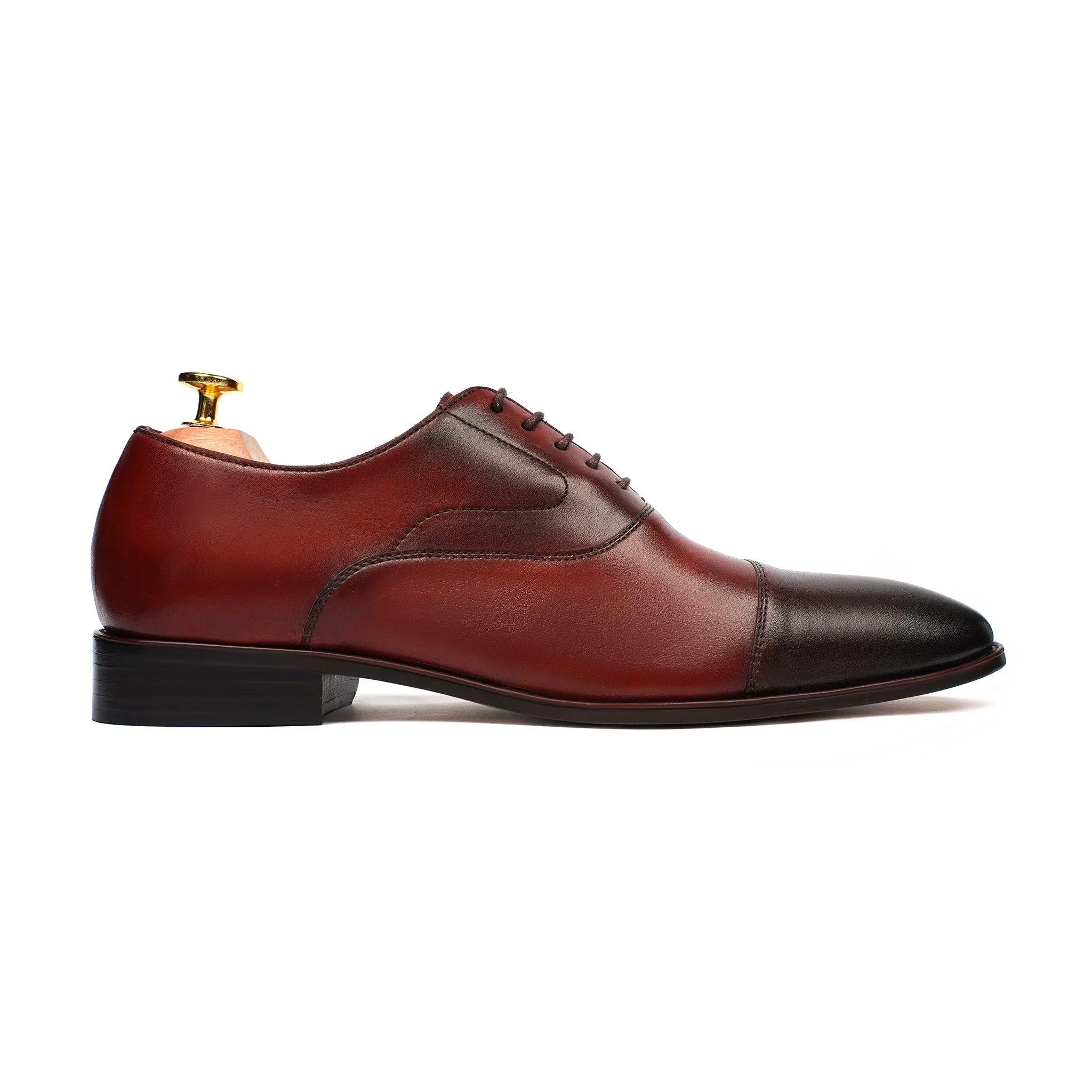 COTTBUS - BURNISH OXBLOOD OXFORD