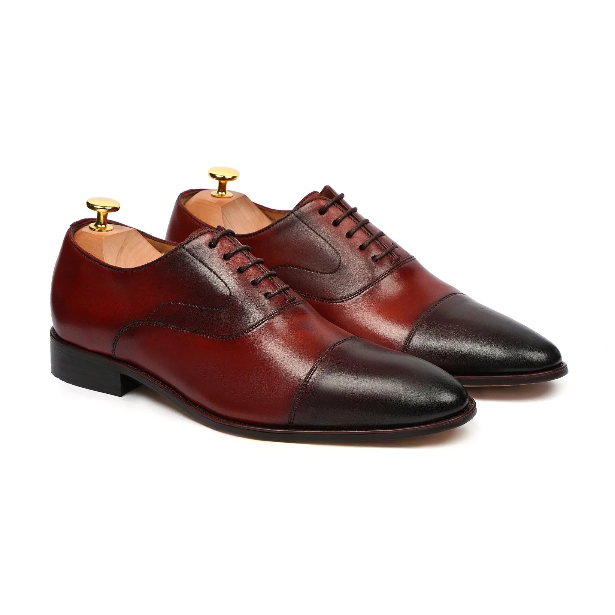 COTTBUS - BURNISH OXBLOOD OXFORD