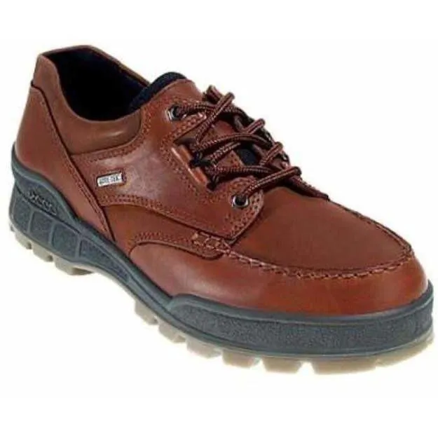 Ecco Track 25 Bison Mens  Goretex Laced Walking Shoe 831714