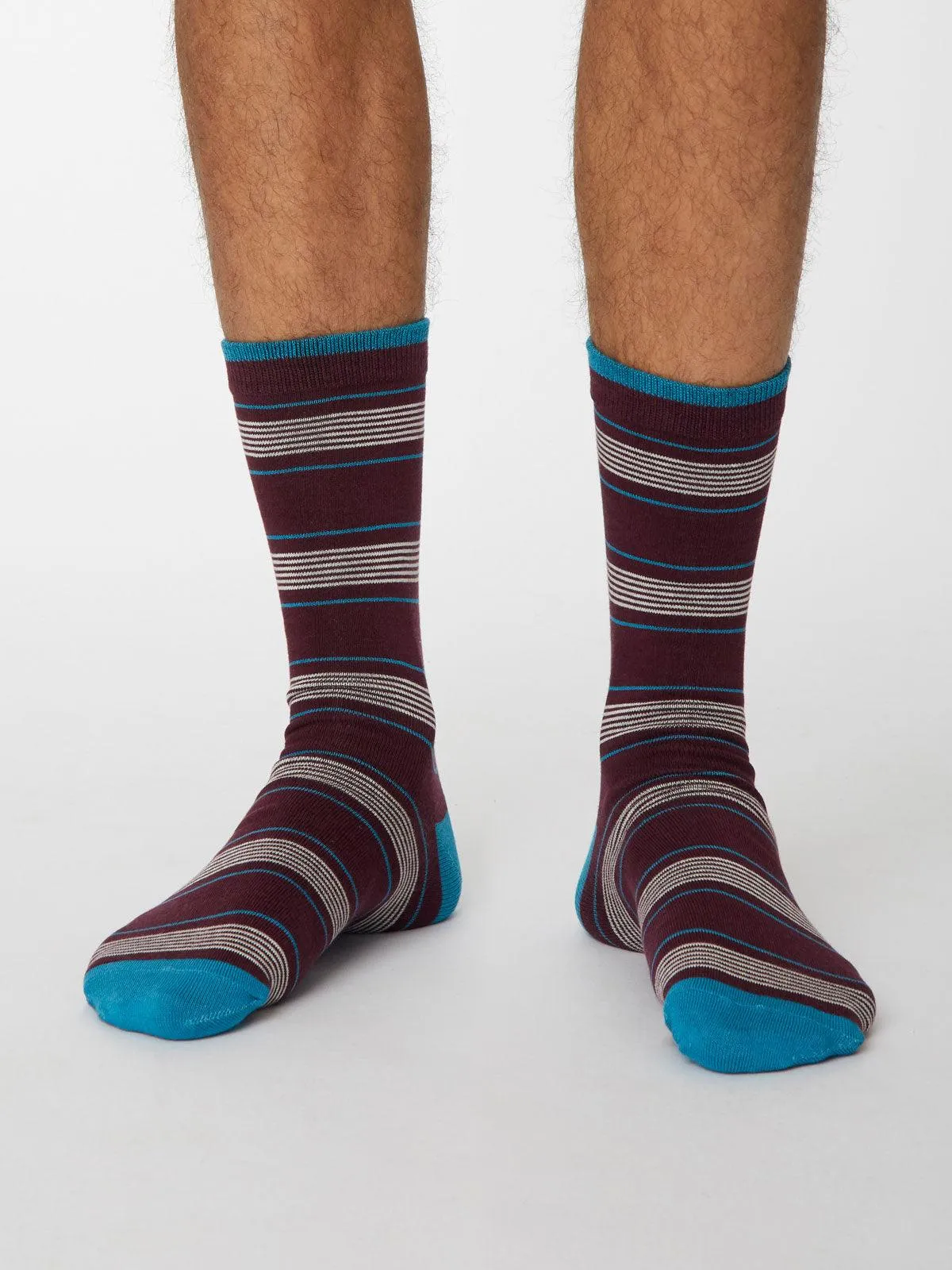 Edoardo Stripe Socks - Wine Red