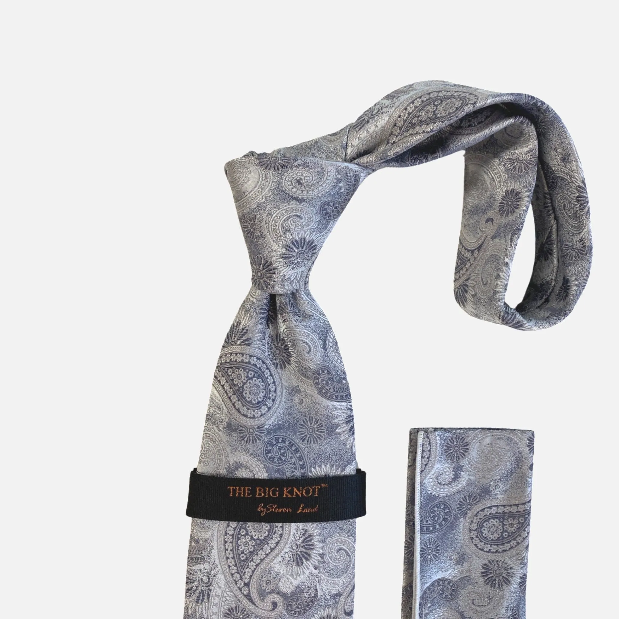 Steven Land “BW2430” Silver Silk Tie and Hanky