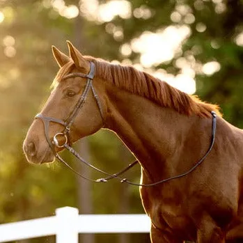 Triomphe Black Leather & Cognac Leather Snaffle Bridle